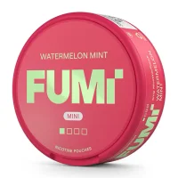 Fumi Watermelon Mint Mini