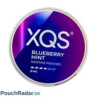XQS Blueberry Mint Strong Slim