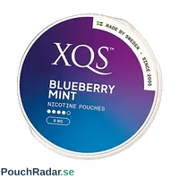 XQS Blueberry Mint