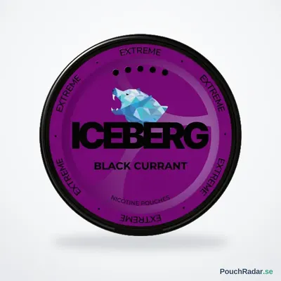 ICEBERG Black Currant Extreme