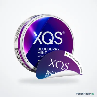 XQS Blueberry Mint 4mg