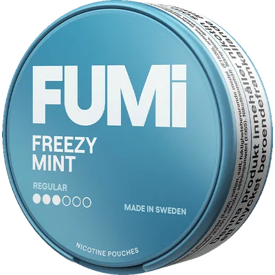 Fumi Freezy Mint Regular