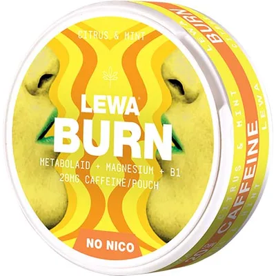 LEWA BURN Citrus Mint