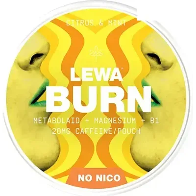 LEWA Burn Functional Citrus Mint
