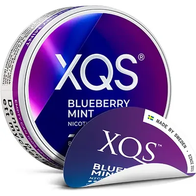XQS Blueberry Mint Strong