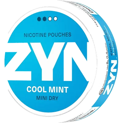 Zyn Cool Mint Mini Dry